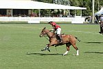 IPC-3-26-17-1034-DDeRosaPhoto