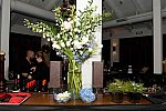 IPC-NYE-12-31-16-5743-DDeRosaPhoto