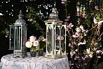 IPC-Casablanca-3-15-17-7137-DDeRosaPhoto